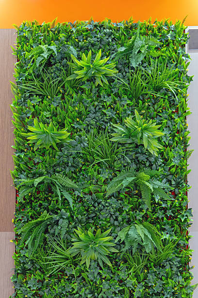 istock Green Vertical Garden 2220994386