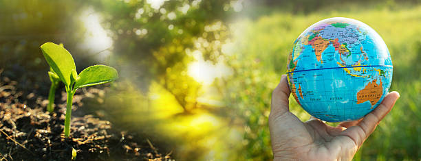 istock human hand with world model and plant seedling for environmental conservation concept 2220998304