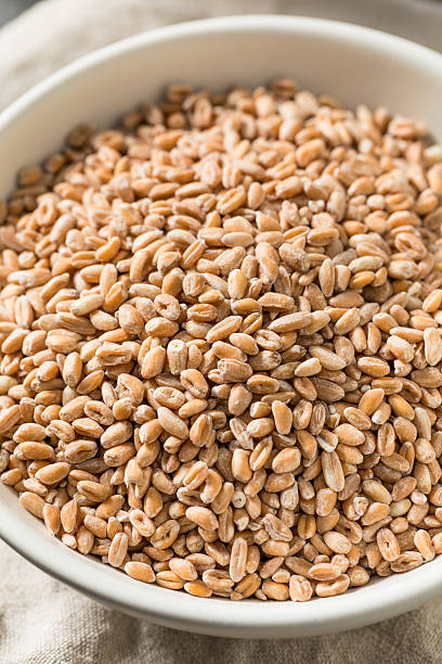 istock Organic Raw Dry Farro Grain 2220999394