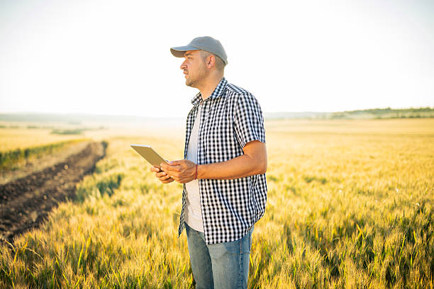 istock Farmer using digital tablet in agriculture field. 2221001556