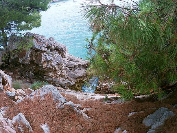 A scenic view of rugged rocky cliffs surrounded by lush pine trees, overlooking turquoise coastal waters. The image captures the essence of natural beauty, tranquility, and the charm of the outdoors.