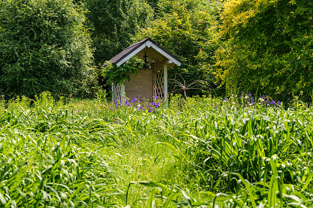 Landscape with a small cabin in a green forest in early summer