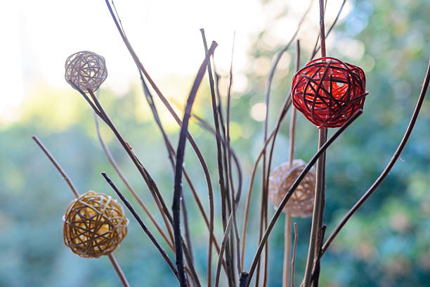 Abstract still life featuring intertwined branches and colorful, textured spheres against a soft, natural backdrop. Great for home decor, artistic, or conceptual themes.
