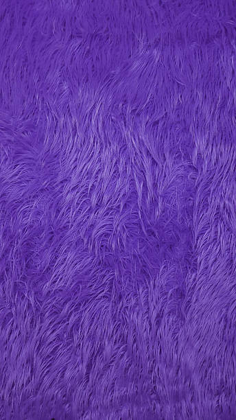 istock Purple faux fur background creating soft texture 2221024644
