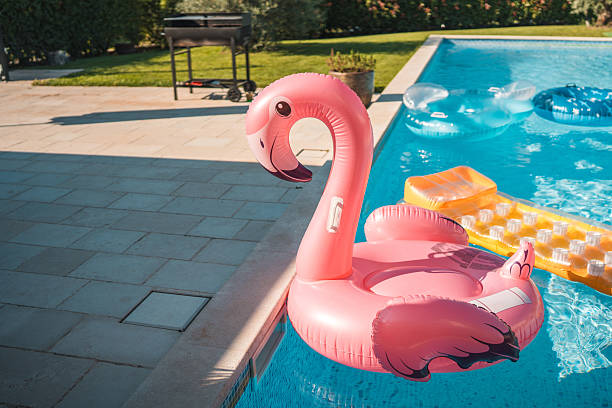 istock Pool Flamingo and Other Floats in a Pool 2221024834