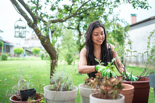 istock Hispanic Woman Cultivating Backyard Garden 2221024845