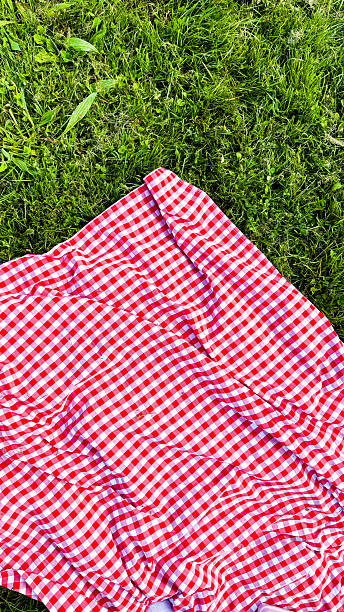 istock Red checkered picnic blanket on lush green grass in a park setting 2221025141