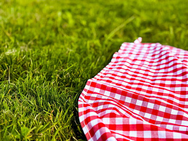 istock Red checkered picnic blanket on lush green grass in sunny outdoor setting 2221025154