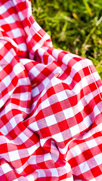 istock Red and white checkered picnic blanket on grass 2221025155