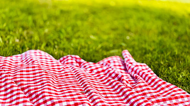 istock Red checkered picnic blanket on grass in sunlit park 2221027405