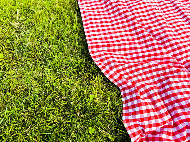 istock Checkered picnic blanket on green grass outdoors 2221027442