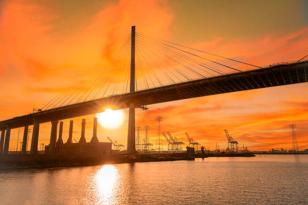istock The Long Beach International Gateway Bridge 2221029677