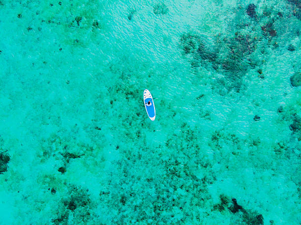 istock Man on paddle board floating on clear turquoise sea in tropical beach, great for summer vacation promotions 2221033812