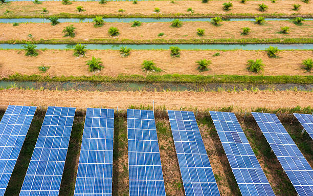 istock Expansive solar panel field generating clean energy amidst natural surroundings. 2221039020
