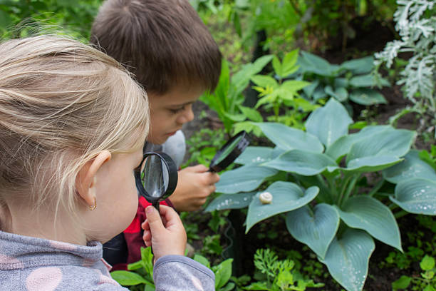 istock girl looking at snail through magnifying glass, researcher. Selective focus 2221041521