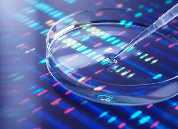 A close-up of a petri dish and a pipette, hinting at scientific research with a backdrop of illuminated data patterns.