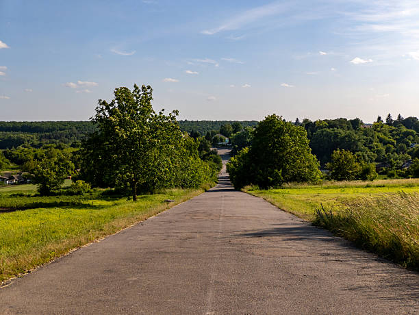 istock A paved road in the middle of a grassy field with trees on both sides 2221048210