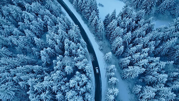 Car driving down snowy road through forest