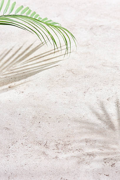 istock Palm leaf shadow on textured stone background, bright lighting, minimal overhead composition 2221056119
