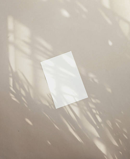 istock Real photo organic card white empty light shadows overlay background aesthetics mockup design 2221059496