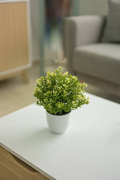 Potted plants on wooden desk