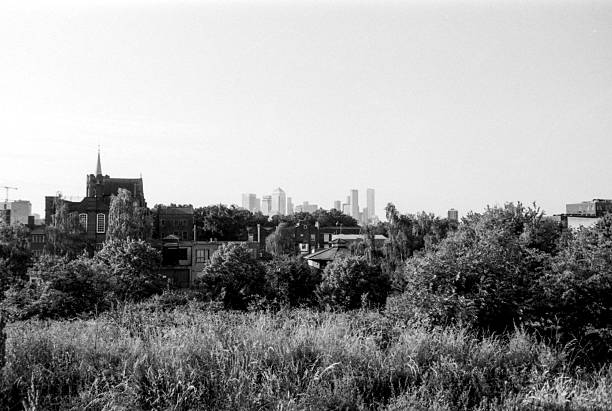 Canary wharf skyscrapers rising in the distance, framed by overgrown foliage, highlight the contrast between urban development and nature's resilience in a vintage monochrome style