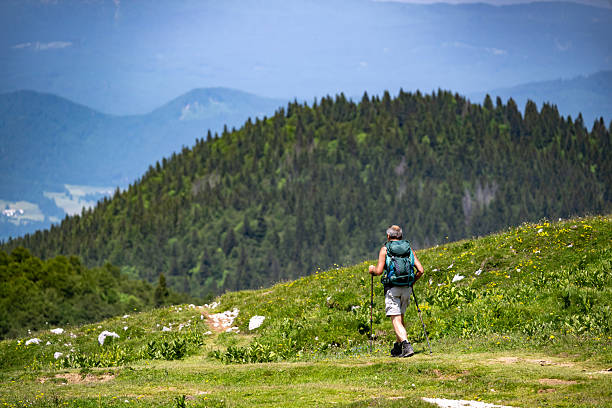 hiking, mountains, trail, hiker, backpacking, adventure, outdoor, nature, landscape, wilderness, alpine, meadow, wildflowers, forest, peaks, summit, trekking, backpack, exploration, wanderlust, outdoors, trek, mountaineering, scenic, vista, panorama, recreation, activity, active lifestyle, summer, spring, daylight, clear sky, blue sky, green, natural, environment, conservation, ecology, flora, fauna, grassland, highland, altitude, elevation, slope, terrain, path, route, journey