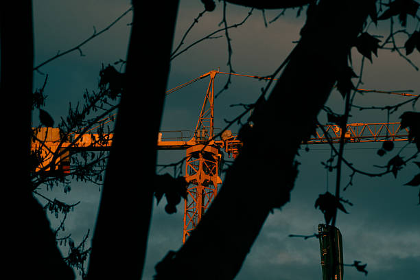 A construction crane is partially visible through the silhouettes of bare tree branches during sunset, symbolizing the clash between urban development and nature.