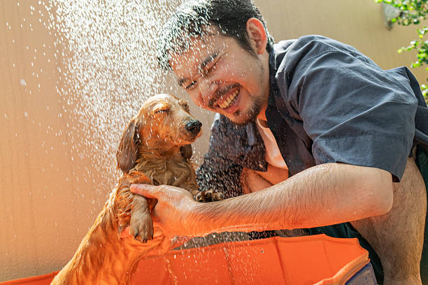 Man playing with his dog in a children's pool