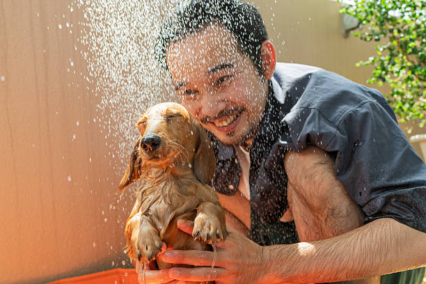 Man playing with his dog in a children's pool