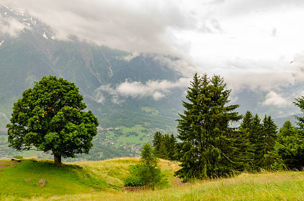Scenic alpine mountain range with forest, snow, and clouds under dramatic cloudy sky, nature landscape
