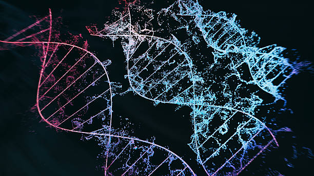 istock 3D Holographic Representation of Multiple DNA Helices with Dynamic Particles on Futuristic Dark Background 2221081428