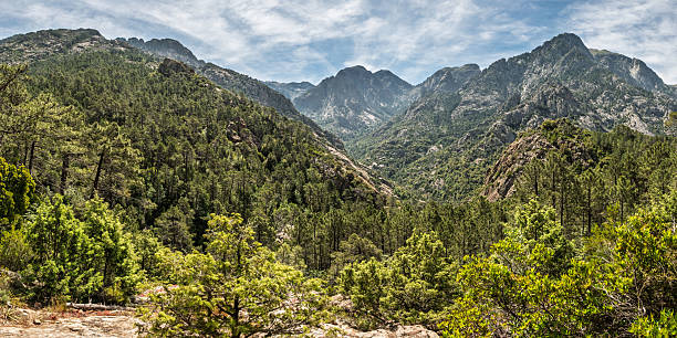 istock Mountains and forest of Corsica 2221093731
