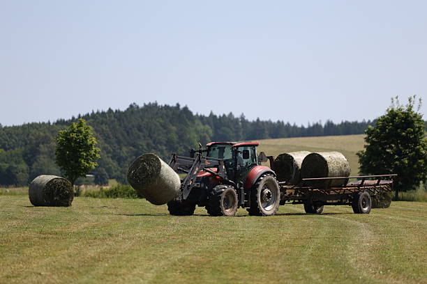 istock Tractor loading round hay bales onto a trailer on a summer field 2221095807