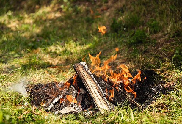 A wooden campfire burns brightly amidst a grassy field during daytime, evoking feelings of adventure, warmth, and nature connection