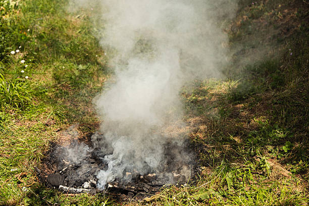 Smoldering remains of a coal outdoor fire releasing smoke in an open grassy area. Depicts realism and resilience, offering a visual narrative of extinguished flames and the surrounding green environment
