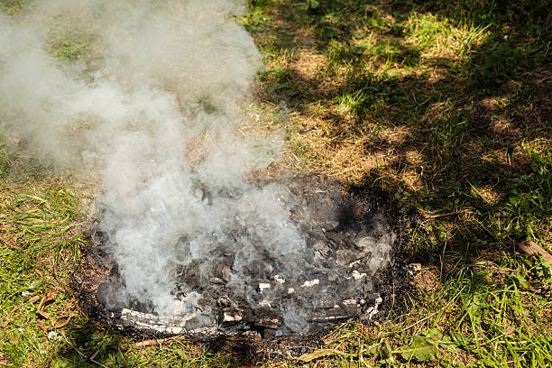 Smoldering remains of a coal outdoor fire releasing smoke in an open grassy area. Depicts realism and resilience, offering a visual narrative of extinguished flames and the surrounding green environment