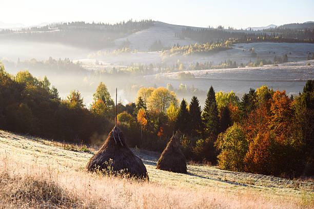 Foggy pasture with haystacks and orange forest glows in sunrise light in autumn mountains. Serene highland landscape with dried hay and foggy hills
