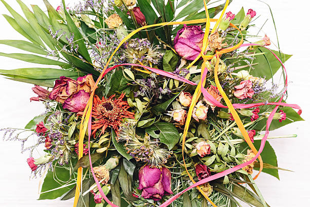istock Colorful dried flower bouquet. Decorative nature gift. Bright botanical composition. 2221100418