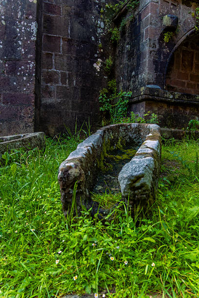 istock Old stone drinking troughs covered with moss in the green grass next to a medieval wall of the Abbey Church of Sainte-Foyen in an overgrown garden in the village of Conques, France. 2221101180