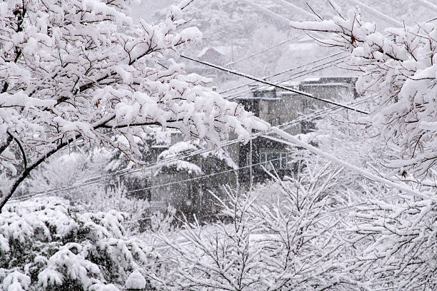 winter landscape