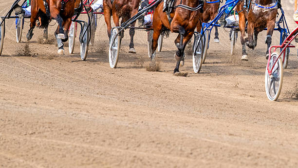 istock Equestrian sport. Horses compete in harness racing. Copy space 2221122930