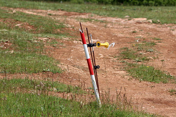 istock Electric fence post with insulators on dirt farm path 2221128513