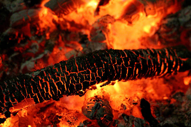 Close-up of glowing orange embers and a blackened, charred log in a campfire, showing cracked surface patterns and intense heat radiating from the burning wood