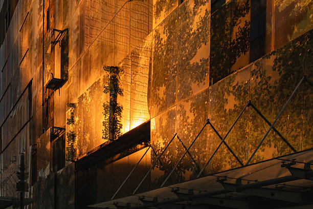 Orange rays of the setting sun on a glass facade.