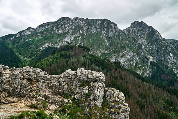 limestone rocks and mountain peak Giewont in the Tatras, Poland