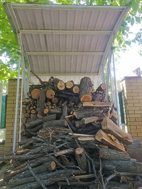 istock vertical photo Firewood stacked under metal canopy in backyard 2221143805