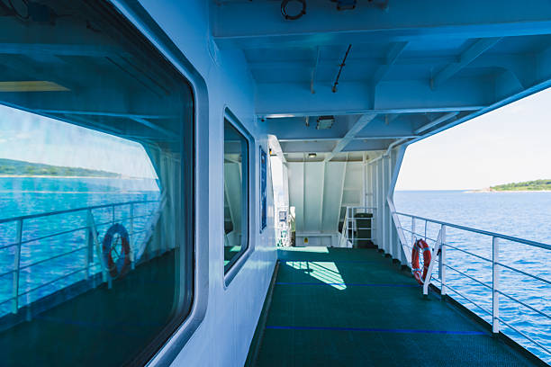 Sunny day over a quiet bay with a white boat deck in the foreground and green tree-lined shoreline across calm blue water, capturing serenity, travel, and sea life