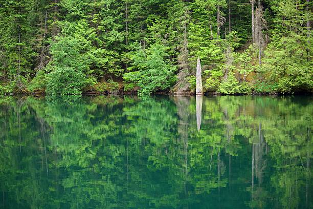 Kayaking is a popular pastime on Mountain Lake in Moran State Park on Orcas Island, Washington State.