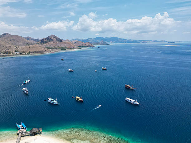 istock komodo national park, indonesia 2221150954